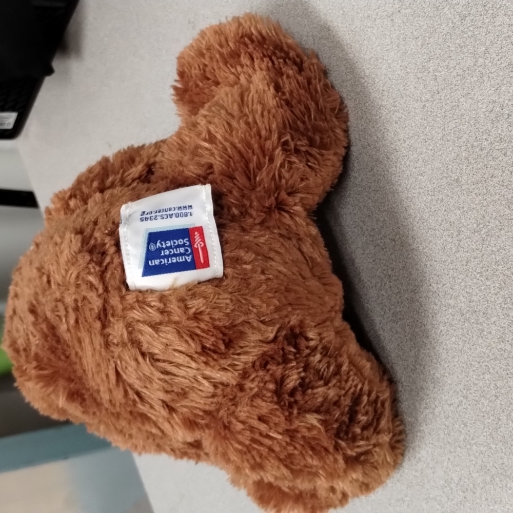 βBoyds Special Edition American Cancer Society Daffodil Days Teddy Bear Plush - Picture 12 of 14